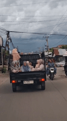 Everyday street life documented in Lhokseumawe, Indonesia