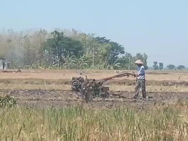A farmer wearing a conical hat and camouflage pants operates a red and black walking tractor in a dry, tilled field. The tractor is churning the soil, with some debris visible on the ground. In the background, there are trees and a small building with smoke emanating from it. The sky is clear and blue. The overall scene depicts agricultural activity in a rural environment.
