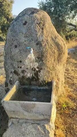 A water faucet attached to a large boulder is running water into a concrete basin. The scene is outdoors in what appears to be a natural setting with trees and dry vegetation visible in the background. The sun is casting a warm glow on the rock and basin.