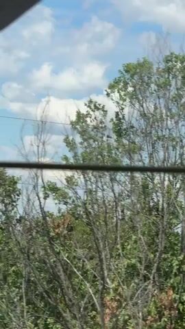The video captures a view through a window, showing a tree with green leaves against a blue sky with white clouds. Several horizontal wires or cables are visible in the foreground, obscuring parts of the view. As the video progresses, a cluster of evergreen trees and the rooftops of two buildings appear behind the foliage. Further along, a utility pole with some wires is seen, followed by another view of trees and the sky. The video appears to be filmed from a moving vehicle, given the slight shifts in perspective.