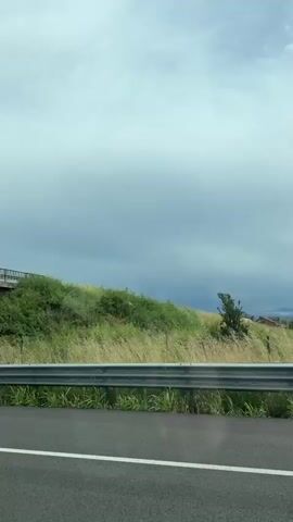 This video captures a short, dynamic view from a moving vehicle traveling along a road near Radinovo, Bulgaria, under an overcast sky.

The initial frames (0:00-0:01) show the roadside. A concrete bridge with a dark metal railing spans over a grassy embankment, under which several large, dark, circular objects, possibly tires or concrete pipes, are partially visible amidst the foliage. A silver metal guardrail runs alongside the asphalt road, which features a white dividing line.

As the camera pans slightly (0:01-0:03), the scene shifts to reveal a large, rectangular industrial building in the distance. The building's facade is painted with alternating vertical stripes of light blue and light grey or off-white, and a prominent, large circular design is visible on one of the blue sections. A wide expanse of tall, dry, yellowish grass stretches between the road and the industrial structure, with a chain-link fence visible at the base of the building. The guardrail and asphalt road remain in the foreground.

No people are visible in the video, and no discernible text appears on any of the objects or structures. The clip offers a glimpse of a typical roadside and industrial landscape.