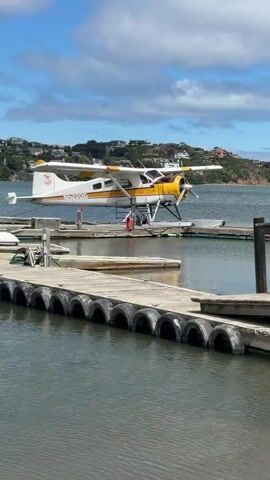 A seaplane is docked at a pier on a body of water. The seaplane is white and yellow with a propeller on the front. The pier is made of wood and has black tires attached to the sides. Two Canada geese are standing on the shore near the pier. The water is calm and the sky is blue with white clouds. The background shows rolling hills covered in trees and houses. The time is daytime.