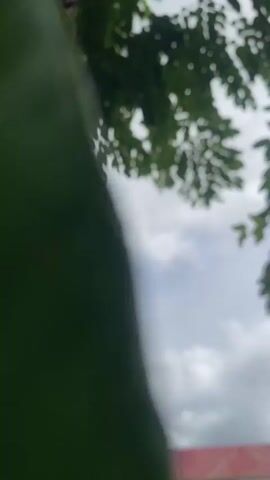 The video captures a view looking up through the canopy of a tree with lush green leaves, against a cloudy sky. Initially, the shot is slightly out of focus, showcasing the sky and the silhouette of leaves. As the camera pans, the leaves come into sharper focus, revealing their vibrant green color and detailed veins. The sky is a mix of white and grey clouds, suggesting an overcast or partly cloudy day. Below the tree line, a building with a distinctive red roof is partially visible, indicating an urban or suburban setting. A utility pole can also be seen briefly towards the left side of the frame as the camera adjusts its angle. The leaves sway gently, implying a light breeze. No people or visible text are present in the video. The setting is Sasaro, Nigeria.