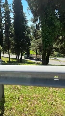 The video captures a dynamic view from a moving vehicle, looking down at a road and its surrounding environment on a clear, sunny day. In the immediate foreground, a metallic guardrail with a red reflector is prominently displayed, indicating a roadside or an elevated viewpoint. Below the guardrail, lush green grass and dense undergrowth are visible.

The scene is dominated by a variety of tall trees. Several slender, dark green coniferous trees, possibly cypresses, line the road. A particularly large tree with a distinctive, light-colored, textured trunk stands out among them.

In the middle ground, a multi-lane road is visible, curving through the landscape. Several vehicles can be seen traveling on this road, including a large dump truck, a white passenger car, and an orange or red car. The background reveals more trees and a bright blue sky, suggesting pleasant weather conditions. The camera pans slightly, offering a broader perspective of the treed landscape and the road below. No text is visible in the video.