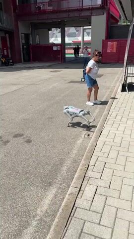 A four-legged robot dog walks across an asphalt path. The robot is silver and has a light blue accent on its back. In the background, a woman with sunglasses and a white t-shirt walks up some stairs. Behind her, a stadium with red seating is visible. A small dog on a leash walks past the robot from left to right.