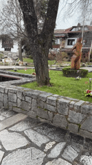 Easter decorations and cat sightings documented in Bansko Bulgaria