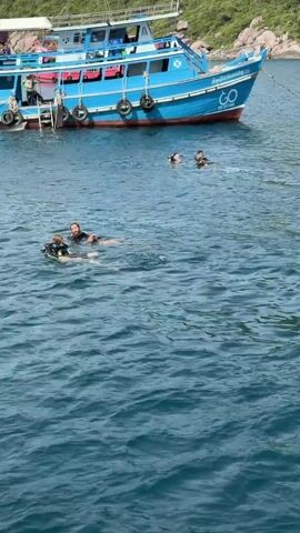 In a bright, clear daytime scene, a blue and white boat is anchored in calm, turquoise water. Several people are in the water around the boat. Two individuals, appearing to be divers in wetsuits, are in the foreground, one on their back with a mask and snorkel, the other on their stomach with a scuba tank. Further out, a group of four individuals, also appearing to be divers, are clustered together. In the distance, another boat with yellow and blue accents is visible near a lush, green, mountainous coastline. The water is choppy with visible ripples and waves.