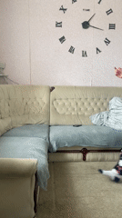 Morning domestic life and construction activity documented in Baranovka