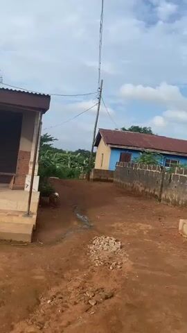 A dirt road is visible in the foreground, with a small pile of rocks in the center. On the left, a building with a brown roof and brick accents is partially visible. On the right, a blue building with a red roof is situated behind a stone wall. Telephone wires run vertically through the frame, attached to a wooden pole. In the distance, lush green vegetation is visible. The sky is partly cloudy with a few birds flying.