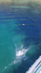 Swimmer jumps into turquoise waters off Selçuk, Turkey
