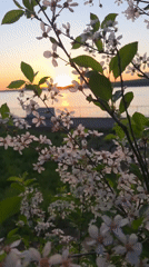 Witness documents Kama River sunset through 16 artistic perspectives