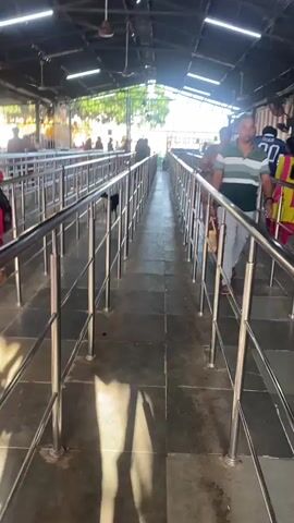The video shows a queue area with people standing in line, separated by metal railings. The walkway is covered by a corrugated metal roof with fans and lighting fixtures visible. The floor is tiled. In the foreground, a black and white dog walks down the middle of the pathway. People in the background are also in line, some carrying bags. The overall atmosphere appears to be orderly and busy. The lighting suggests it could be daytime, with sunlight filtering in from the open ends of the covered area. The scene is likely a place of public gathering or worship, given the organized queue system. There is no visible text in the video.
