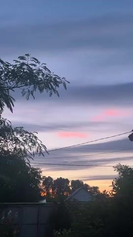A vertical shot of the sky during what appears to be sunset or twilight. The sky transitions from a deep blue at the top to lighter shades of purple and pink near the horizon. Several wispy clouds are visible, with a few streaks of pink highlighting them. In the foreground, the silhouette of a tree with feathery leaves dominates the left side of the frame. The branches of the tree sway slightly, suggesting a gentle breeze. Below the tree, a dark fence runs horizontally across the bottom of the image. Behind the fence, hints of greenery and the top of a building can be seen. Power lines are also visible stretching across the middle ground.