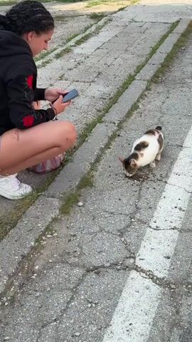 A young woman, with dark braided hair and a black hoodie adorned with red rose embroidery, crouches down next to a cracked asphalt path. She is holding a smartphone in her hands, looking down at the screen. Her right leg is bent, and she is wearing white sneakers and light-colored shorts. A tattoo is visible on her left thigh.

To her right, a small calico cat with white, brown, and black patches is sniffing at the ground. The cat appears to be eating something on the path. The scene suggests an outdoor setting, possibly a street or a park path, with patches of grass visible on the side. The lighting indicates it is daytime, likely late afternoon or early evening given the warmth of the light. The overall mood is calm and observant, with the woman seemingly documenting the cat's activity. No text is visible in the media.