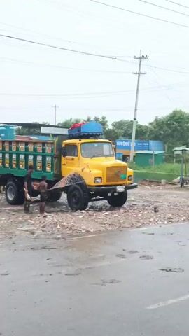 The video begins with a glimpse of a yellow truck with "TATA" written on its grill, partially obscured by a black vertical bar. The scene appears to be outdoors, with a wet, possibly muddy, road in the foreground. Power lines crisscross the sky, supported by utility poles.

As the video progresses, a blue and red motorized rickshaw is seen parked on the side of the road. Adjacent to it is a small roadside stall or shop with people standing around. The environment suggests a somewhat rural or semi-urban setting, with lush green foliage and more utility poles in the background.

Further on, a white truck with "TATA" branding and Bengali text is visible. The road remains wet and appears to have potholes. In the distance, there are some buildings and more greenery.

The video concludes with a shot of a traffic sign depicting a horn with a red circle and a diagonal line through it, indicating "No Horn." The sign is accompanied by Bengali text. The road surface continues to be rough and wet. The overall impression is a street scene in what appears to be South Asia, possibly during or after rain.