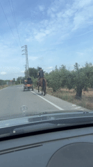 Horse and carriage spotted on rural road in Salou