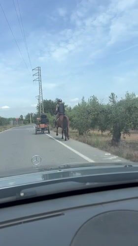 Horse and carriage spotted on rural road in Salou