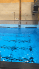Morning swimming training session observed at Horten facility