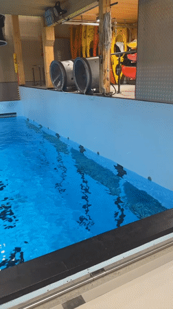 Morning swimming training session observed at Horten facility