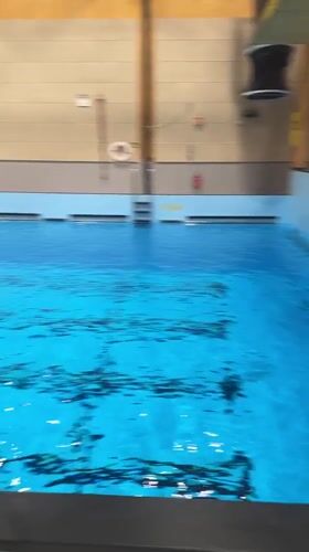 Morning swimming training session observed at Horten facility