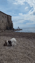 Quiet beach moments with dog in Budva, Montenegro
