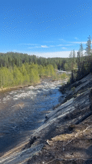 Hiking group explores Kolvitsa River forest trails in Russia