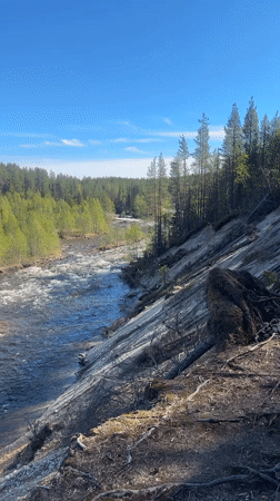 Hiking group explores Kolvitsa River forest trails in Russia