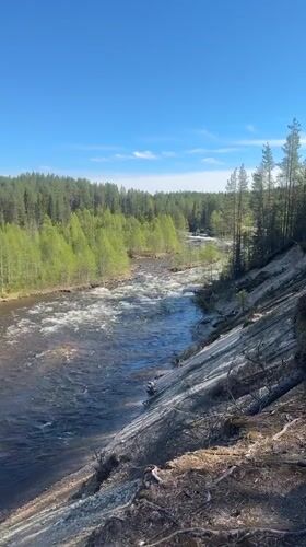 Hiking group explores Kolvitsa River forest trails in Russia