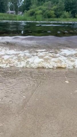 The video shows a close-up of gentle waves lapping onto a sandy shore. The water is a murky brown, with white foam created by the small waves. In the background, there is a body of water with ripples and some white foam on its surface, and beyond that, a dense green forest. A small, dark object, possibly a piece of debris or a tiny creature, is visible on the sand just at the water's edge. The lighting suggests it is daytime, with overcast or diffused sunlight.