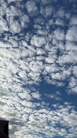 The video shows a sky filled with altocumulus clouds, also known as mackerel sky. The clouds are white and puffy, with patches of blue sky visible between them. The sun is not directly visible, but its light is illuminating the clouds, creating a bright and airy effect. The angle of the shot is looking upwards, emphasizing the vastness of the sky. There are no people or objects visible in the frame except for a small portion of a dark roofline at the bottom left corner. The overall impression is one of a clear and pleasant day.