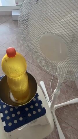 The media file displays a close-up, static shot of a makeshift cooling setup. The primary objects are a plastic bottle filled with yellow liquid, likely water with flavoring or food coloring, and a white oscillating fan. The bottle has condensation on its surface, suggesting it is cold. It is placed inside a shallow metal bowl, which rests on a blue and white polka-dotted foldable mat. The mat is on top of a white surface, possibly a small table or stool. In the background, a white oscillating fan is positioned to blow air. The floor appears to be tiled. The setting is indoors, likely a room in a home, given the flooring and the presence of household items like a fan and foldable mat. The lighting suggests it is daytime, with light coming from an unseen source, possibly a window. The overall scene conveys an attempt to create a cooler environment, possibly during warm weather, utilizing simple, readily available items. No people are visible, and the focus is solely on the objects and their arrangement. There is no discernible text in the media file.