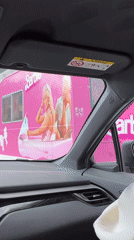 Pink Barbie camper spotted on Montenegro roadway