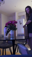 Woman spends evening at Belgrade apartment with cat, selfies