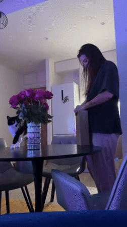 Woman spends evening at Belgrade apartment with cat, selfies