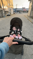 Evening life moments documented across Florianópolis neighborhoods
