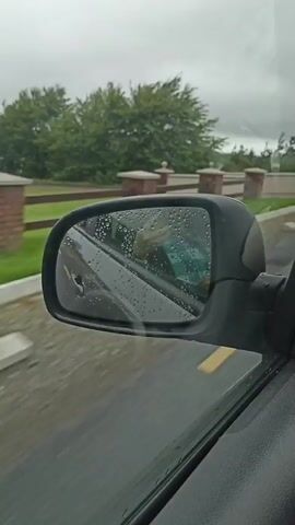 A side view mirror of a car reflects a person's hand and arm. Water droplets are visible on the mirror's surface. The car appears to be moving, as indicated by the motion blur of trees and buildings outside the window. The sky is overcast.