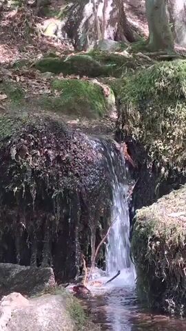 A small waterfall cascades down moss-covered rocks in a forest setting. The water is clear and the surrounding vegetation is lush and green. The scene is peaceful and serene, with the gentle sound of the water creating a calming atmosphere.