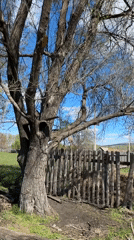 Rural documentation captured in Abzakovo countryside during spring morning