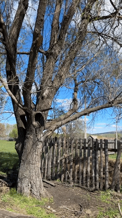 Rural documentation captured in Abzakovo countryside during spring morning
