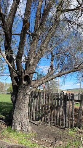 Rural documentation captured in Abzakovo countryside during spring morning