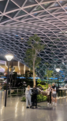 Inside Doha's domed mall and airport, sculptures and greenery
