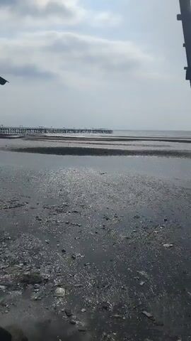 The video shows a muddy, low-tide shoreline with a long pier extending into the distance. The sky is overcast with scattered clouds. The water is calm and reflects the sky. There is debris scattered on the mud, including what appears to be plastic waste. The perspective is from ground level, looking out towards the sea and the pier. The overall atmosphere is somber and somewhat bleak.