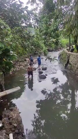 The video shows a group of boys playing in a shallow river. One boy is shirtless and wearing shorts, while the other two boys are wearing blue shirts. They are walking across the river, stepping on rocks to avoid getting wet. The river is surrounded by trees and lush greenery. The water is reflecting the sky, and some trash is visible in the river and along the banks. The river has rock walls on each side. There is a pipe running along the edge of the river. In the background, other people can be seen along the riverbank.