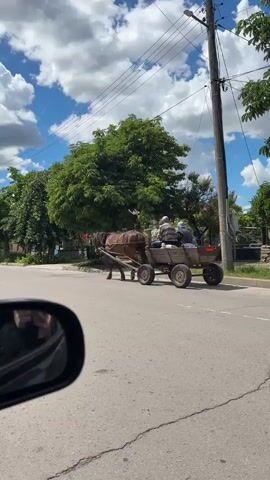 The video shows a horse-drawn cart with two people in it moving along a street. The horse is brown and appears to be a draft horse. The cart is made of wood and has two wheels. The two people in the cart are an older man and an older woman. The man is driving the cart, and the woman is sitting next to him. The cart is loaded with goods. The street is paved, and there are trees and houses on either side of the street. The sky is blue with some clouds. The video is shot from inside a car, with the side mirror visible in the foreground.