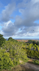 Paraglider soars over coastal residential area on cloudy morning
