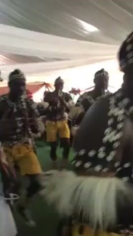 In a brightly lit indoor event space with a low, white draped ceiling, a group of men are performing traditional music and dance. They are dressed in similar outfits: bare chests adorned with numerous cowrie shells, yellow shorts, and matching cowrie shell headbands and leg decorations. Some of them are playing wind instruments, which appear to be flutes or similar instruments, and blowing into them. They are moving and dancing rhythmically. 

The camera moves, following the dancers and occasionally showing other people in the background, including a person in a white outfit and a man playing a large drum. The room is decorated with green, red, and white elements, possibly ribbons or flags.