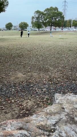 The video captures a wide shot of an open, grassy field or park on an overcast day. The foreground features a dry, patchy area covered with numerous fallen brown, orange, and red leaves, along with some dark pebbles and visible grates embedded in the ground. A large, light-colored rock or concrete slab is partially visible in the bottom right corner.

Further back, the main area of the field is covered in dry, light-brown grass, interspersed with more fallen leaves. Four individuals are spread across this grassy area, appearing to be playing soccer. One person, wearing a black top and dark pants, is on the left side of the frame, running towards the right. Another person, in a light-colored top and dark pants, is closer to the center, also running. A third person, dressed in a light green or grey top and light-colored pants, is on the right, moving towards the center-left. A fourth person is partially obscured behind the second individual. A soccer ball is visible near the person in the light top in the center. Two small, white, rectangular objects, possibly markers or small goals, are placed on the ground to the right of the players.

In the mid-ground and background, there are several large, leafy green trees. Beyond the trees, a road with parked cars and some buildings can be seen. A tall electricity pylon is prominent in the far background on the right side of the frame. The overall impression is one of a casual outdoor activity in a park-like setting.