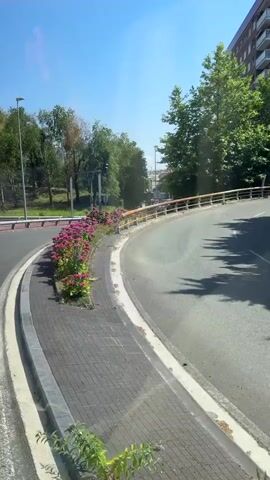 The video shows a view from a vehicle, likely a bus, traveling along a curving road with a landscaped median. Pink flowers are planted in the median, with green bushes and trees surrounding the area. Traffic signs are visible, including one indicating a speed limit of 30. Buildings and more trees are seen in the background, suggesting an urban or suburban environment. The sky is clear and blue, indicating a sunny day. The camera pans slightly, capturing different angles of the road and its surroundings. A person's shoulder and arm are visible in the lower left corner of the frame, indicating the perspective of a passenger.