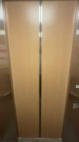 The video shows the interior of an elevator with wood-paneled doors. The doors open to reveal a carpeted hallway with beige walls. A small bench sits to the left. A window is located at the end of the hallway. Other doors are visible along the hallway walls. The camera remains stationary inside the elevator.