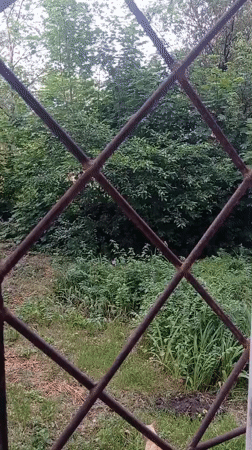 Quiet domestic life documented in Zaporizhzhia residential area